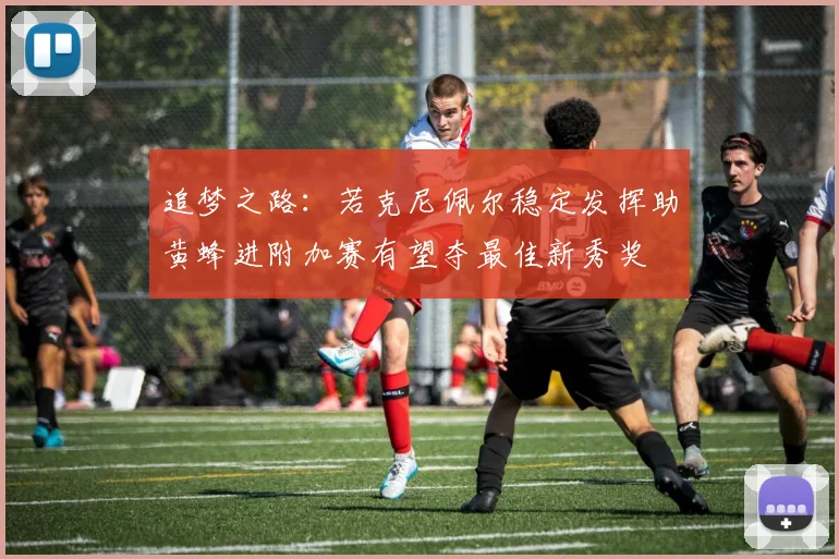 追梦之路：若克尼佩尔稳定发挥助黄蜂进附加赛有望夺最佳新秀奖
